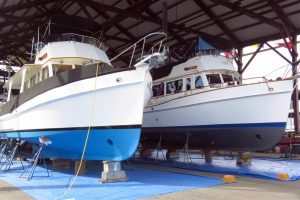 Grand Banks