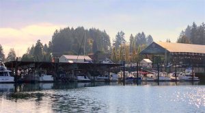Clean Marina