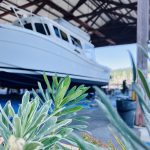 Flower boat